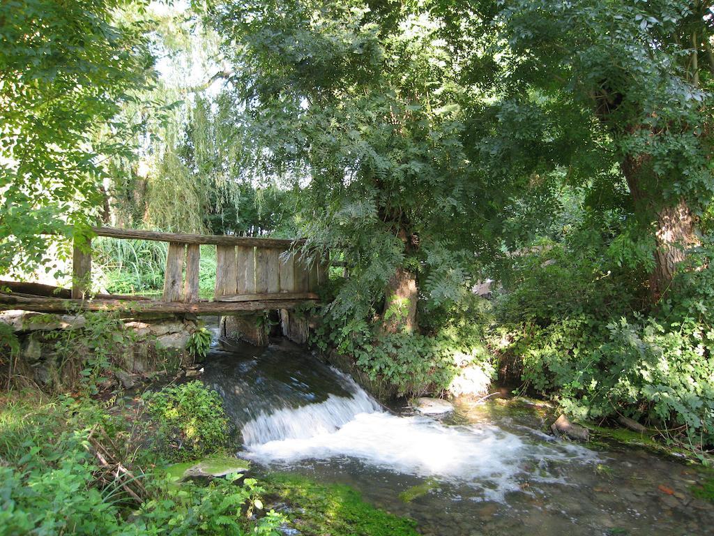 Le Moulin De Lusseau Bed and Breakfast Chef-Boutonne Exteriör bild